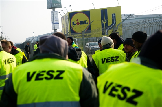 vesz-lidl_9.jpg